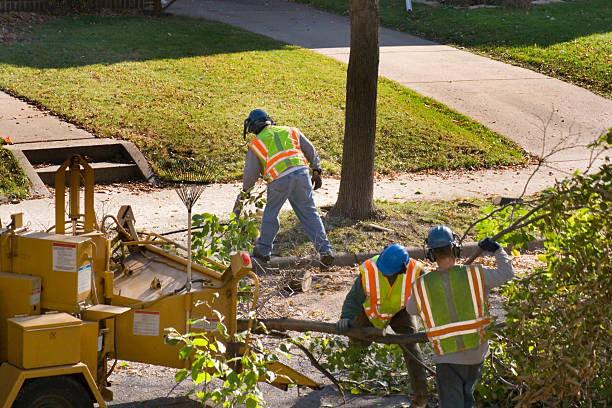 Best Tree Risk Assessment  in Granby, CO